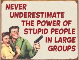 NEVER UNDERESTIMATE THE POWER OF STUPID PEOPLE IN LARGE GROUPS