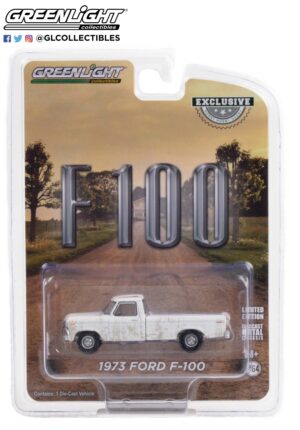 30217 1 64 1973 ford f 100 white b2b - Diecast on sale